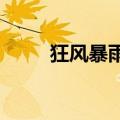 狂风暴雨中拍照打卡是最后的倔强