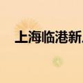 上海临港新片区多家国企采购特斯拉车辆