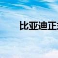 比亚迪正式官宣与和平精英达成合作