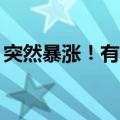 突然暴涨！有人一下卖了100公斤，网友吵翻