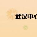 武汉中心气象台发布高温黄色预警