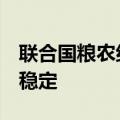 联合国粮农组织：全球食品价格指数6月保持稳定