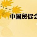 中国贸促会副会长于健龙率团访问日本