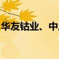 华友钴业、中广核风电等在玉林成立电力公司