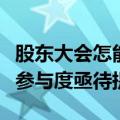 股东大会怎能开成“大股东会”，中小投资者参与度亟待提高