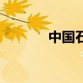 中国石化投资成立催化剂公司