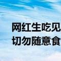 网红生吃见手青 称小小蘑菇不在话下 专家：切勿随意食用