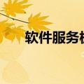 软件服务板块走强 多只个股20%涨停