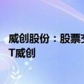 威创股份：股票交易被实施退市风险警示 股票简称变更为*ST威创