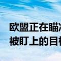 欧盟正在瞄准马斯克，据称X公司已成下一个被盯上的目标