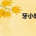 牙小蜜哪里有得买（牙小蜜）