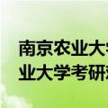 南京农业大学考研难吗农业类难吗?（南京农业大学考研难吗）