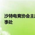 沙特电竞协会主席：希望任天堂等日本游戏公司在中东设办事处