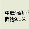 中远海能：预计2024年上半年净利润同比下降约9.1%