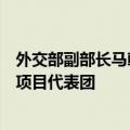 外交部副部长马朝旭会见美中关系全国委员会公共知识分子项目代表团