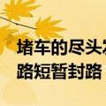 堵车的尽头发生了什么：2只羊打架致独库公路短暂封路