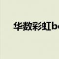 华数彩虹box初始密码（华数彩虹box）