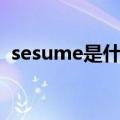 sesume是什么意思（sesame是什么意思）