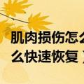 肌肉损伤怎么快速恢复用什么药（肌肉损伤怎么快速恢复）