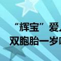 “辉宝”爱人气 “睿宝”要健康 旅韩大熊猫双胞胎一岁啦！