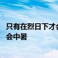 只有在烈日下才会中暑吗 辟谣：室内高温高湿不通风环境也会中暑