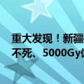 重大发现！新疆找到有望在火星存活的植物：零下196℃冻不死、5000Gy伽马辐射照不死