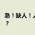 急！缺人！人才缺口超100万！如何抓住机遇？