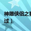 神雕侠侣之我是杨过师傅（神雕横行之我是杨过）