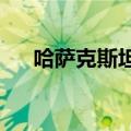 哈萨克斯坦最大清洁能源电站正式开工