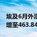 埃及6月外汇储备净额从5月的461.26亿美元增至463.84亿美元