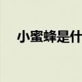 小蜜蜂是什么设备（小蜜蜂手机怎么样）