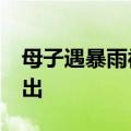 母子遇暴雨被困车内&#32;路人出手救出