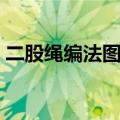 二股绳编法图解步骤（二股红绳编项链图解）