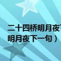 二十四桥明月夜下一句是什么意思写的是扬州吗（二十四桥明月夜下一句）