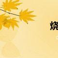 烧碱主力合约跌超2%