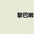 黎巴嫩多地遭以军袭击 1人死亡