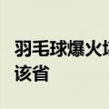 羽毛球爆火堪比掼蛋 超8成生产企业都集中在该省