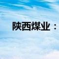 陕西煤业：6月煤炭产量同比增长5.05%