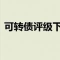 可转债评级下调数量增加 投资需多维度判断