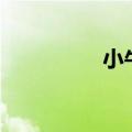 小牛电动盘前上涨近4%