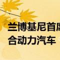兰博基尼首席执行官：将尽可能长时间提供混合动力汽车
