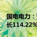 国电电力：预计2024年上半年净利润同比增长114.22%至127.61%