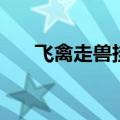 飞禽走兽挂机方案（飞禽走兽遥控器）
