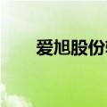 爱旭股份斩获波黑最大地面光伏电站