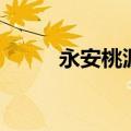 永安桃源洞在哪里（永安桃源洞）
