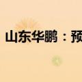 山东华鹏：预计半年度净亏损6600万元左右