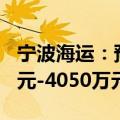 宁波海运：预计2024年上半年净亏损1450万元-4050万元