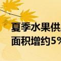 夏季水果供应量持续加大 今年全国西瓜种植面积增约5%