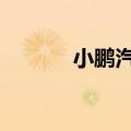小鹏汽车申请小鹏M03等商标