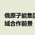俄原子能集团：俄印正在积极研究量子计算领域合作前景